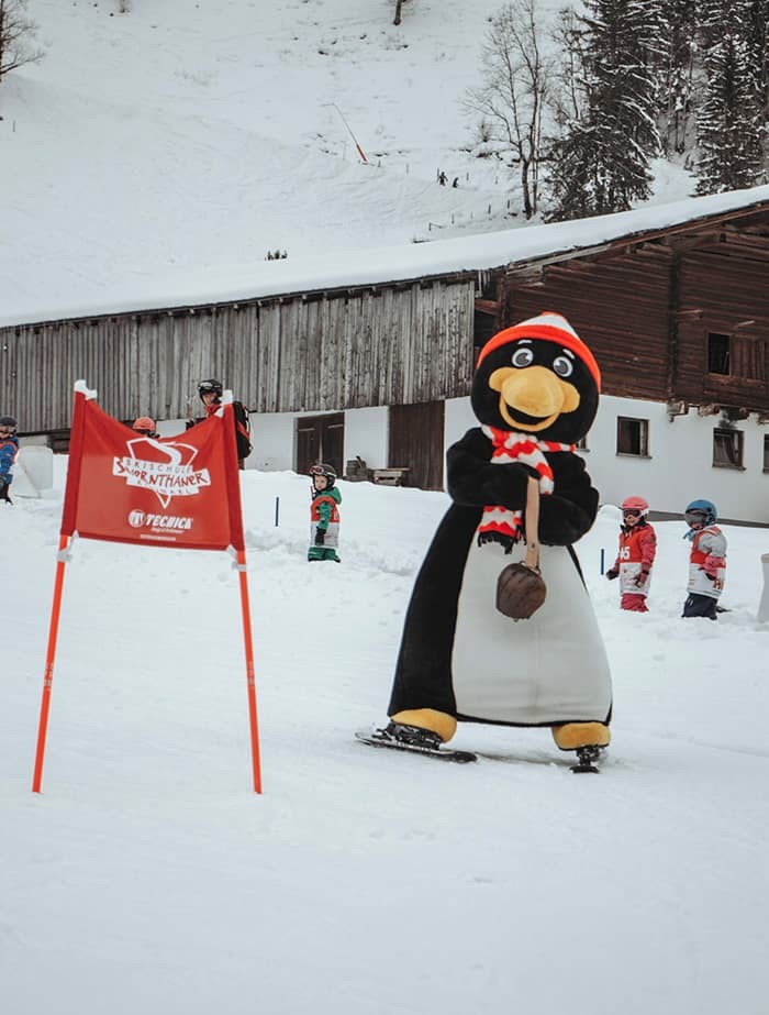 Maskottchen Pingo beim Skifahren