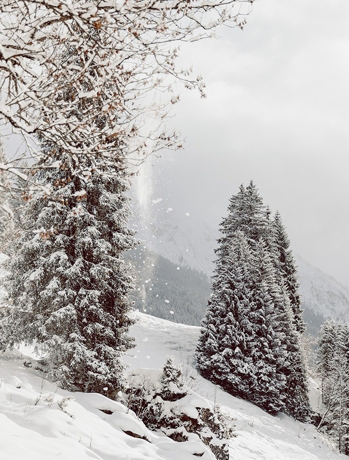 Winter - Schnee - Landschaft - Kleinarl - Salzburger Land - Ski Amade